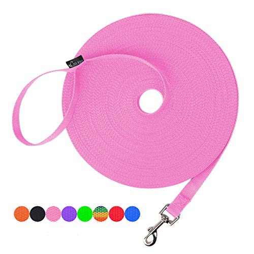 Hi Kiss Dog/Puppy Obedience Recall Training Agility Lead - 15ft 20ft 30ft 50ft 100ft Training Leash...