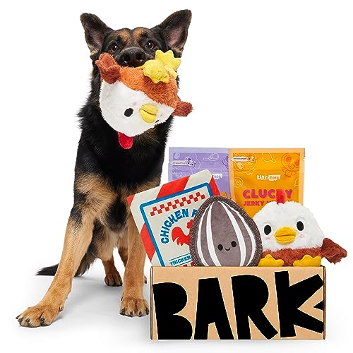 BarkBox Monthly Subscription Box, Dog Chew Toys, All Natural Dog Treats, Dental Chews, Dog Supplies...