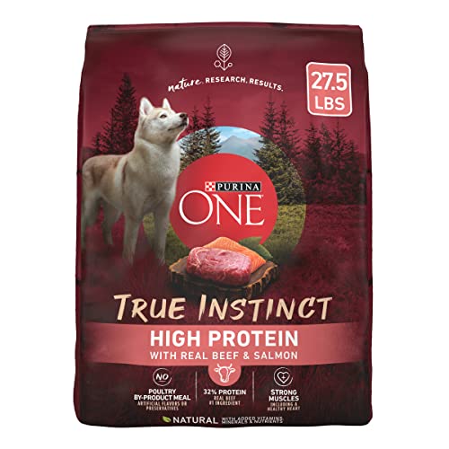 Purina ONE True Instinct High Protein Formula With Real Beef and Salmon Dry Dog Food - 27.5 Lb. Bag