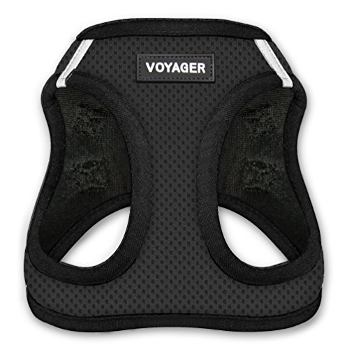 Voyager Step-In Air Dog Harness - All Weather Mesh Step in Vest Harness for Small and Medium Dogs by...