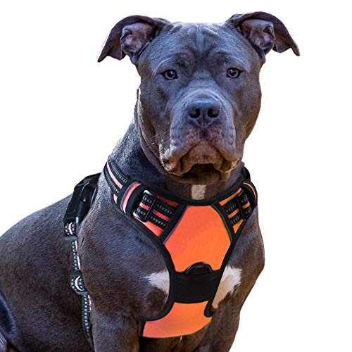 Eagloo Dog Harness No Pull, Walking Pet Harness with 2 Metal Rings and Handle Adjustable Reflective...