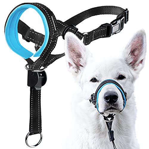 GoodBoy Dog Head Halter with Safety Strap - Stops Heavy Pulling On The Leash - Padded Headcollar for...