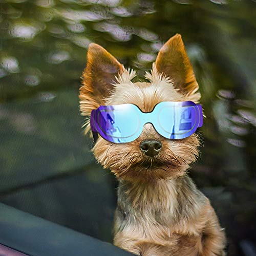 Enjoying Small Dog Sunglasses Dog Goggles Small Breed for UV Protection Snow-Proof Windproof Goggles...