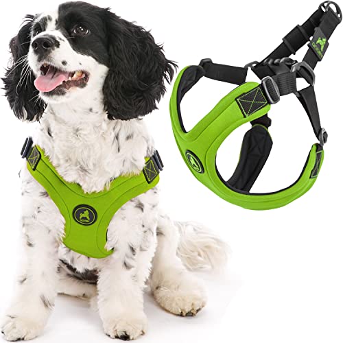 Gooby Escape Free Sport Harness - Lime, Medium - No Choke Step-in Patented Neoprene Small Dog...