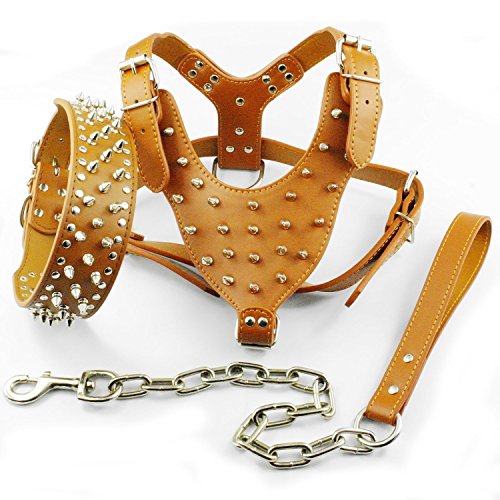 Dogs Kingdom Spiked Studded Leather Dog Pet Collar Harness Leash 3pcs Set Walking Pitbull Boxer...