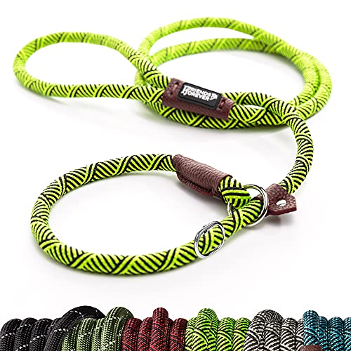 Friends Forever Extremely Durable Dog Rope Leash, Premium Quality Training Slip Lead, Reflective,...