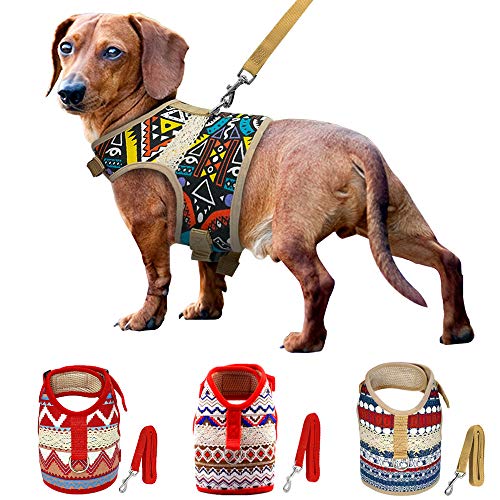 Muttitude Dog Harness & Leash Set for Small Breeds (Extra Large, Pueblo)