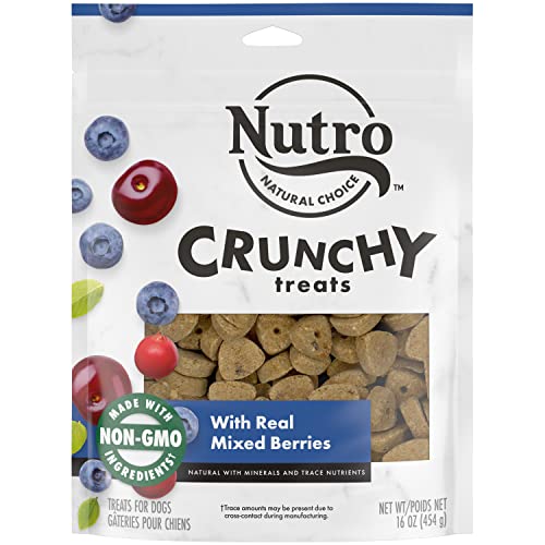 NUTRO Small Crunchy Natural Dog Treats with Real Mixed Berries, 16 oz. Bag
