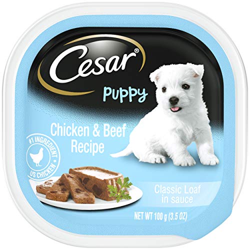 CESAR Puppy Soft Wet Dog Food Classic Loaf in sauce Chicken & Beef Recipe, Pack of 24 Easy Peel...