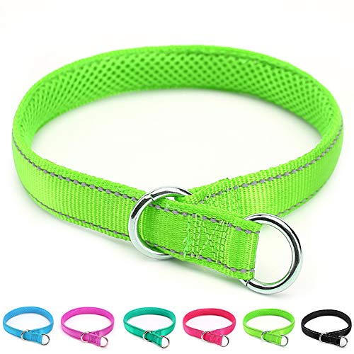 Mycicy Reflective Slip Collar, Soft Nylon Training Choke Collar for Dogs in Green 22', Wide 1'