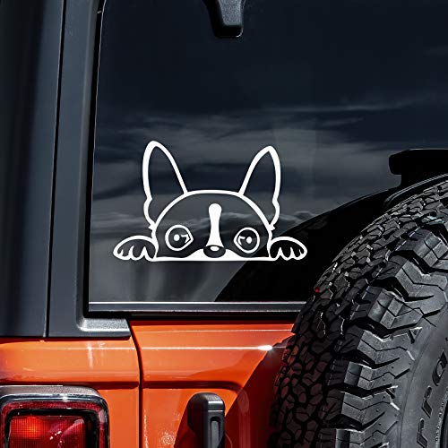 Boston Terrier Peeking Decal Vinyl Sticker Auto Car Truck Wall Laptop | White | 6' x 3'