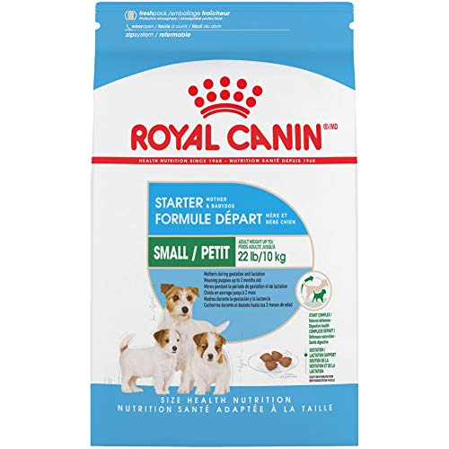 Royal Canin Size Health Nutrition Small Starter Mother And Babydog Dry Dog Food, 15 Lb