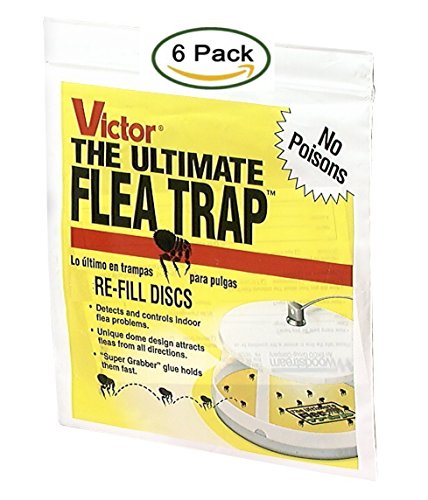 Victor 11 M231 Ultimate Flea Trap, (6 Refills), Yellow