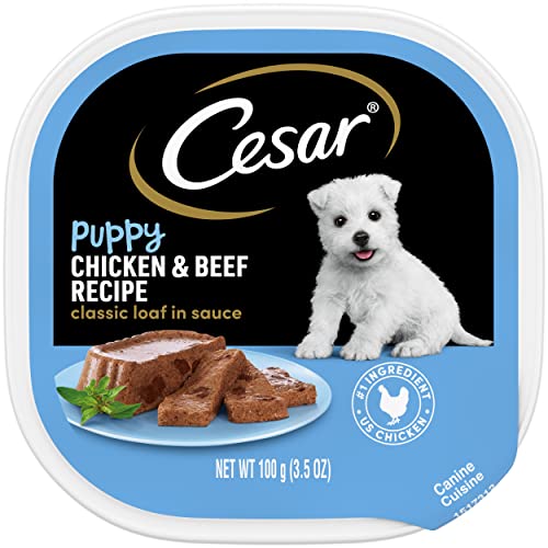 CESAR Puppy Soft Wet Dog Food Classic Loaf in sauce Chicken & Beef Recipe, 3.5 Ounce (Pack of 24)...