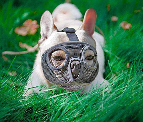 Short Snout Dog Muzzles- Adjustable Breathable Mesh Bulldog Muzzle for Biting Chewing Barking...