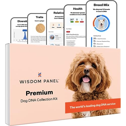 Wisdom Panel Premium Dog DNA Kit: Most Comprehensive with 265+ Health Tests, Identify 350+ Dog...