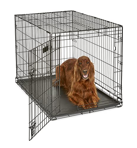 MidWest Homes for Pets Newly Enhanced Single & Double Door iCrate Dog Crate, Includes Leak-Proof...