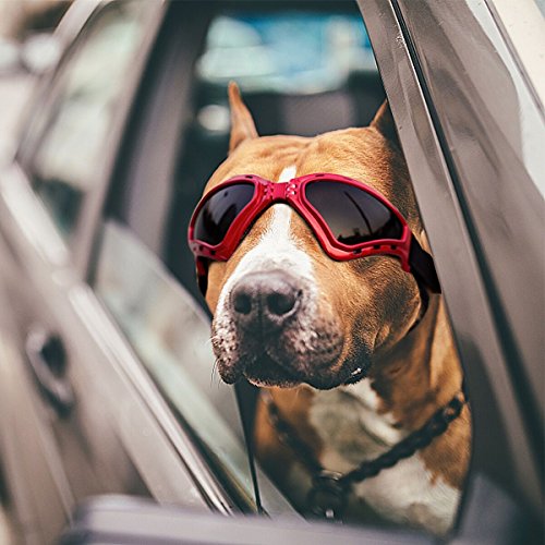 PETLESO Large Dog Goggles, Eye Protection Pet Goggles Sunglasses for Medium Large Dogs- Red