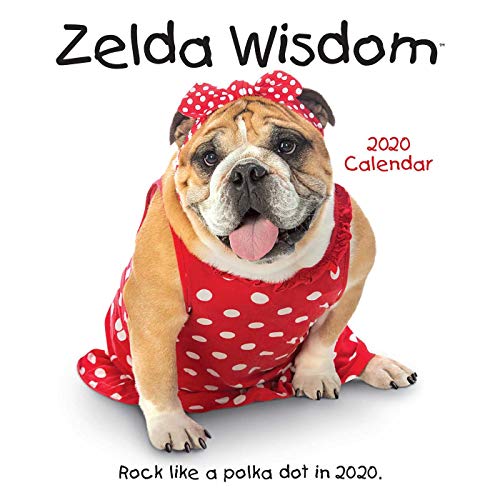 Zelda Wisdom 2020 Wall Calendar
