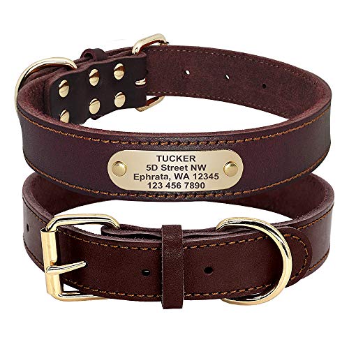Beirui Genuine Leather Personalized Dog Collars with Nameplate ID Tags, Custom Dog Collars Engraved...