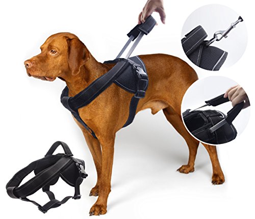 Heavy Duty Dog Harness for Medium and Large Dogs, No Pull Dog Vest Harness with Handle Extensible,...