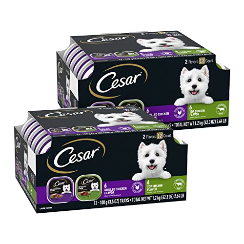 CESAR Wet Dog Food Classic Loaf in Sauce Top Sirloin & Grilled Chicken Flavors Variety Pack, (24)...