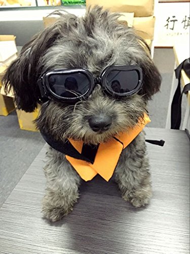 Enjoying Small Dog Goggles UV Protection Doggy Sunglasses Windproof Small Motorcycle Pet Glasses for...