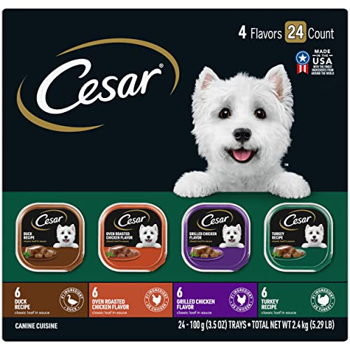 CESAR Wet Dog Food Classic Loaf in Sauce Poultry Variety Pack,. Easy Peel Trays with Real Chicken,...