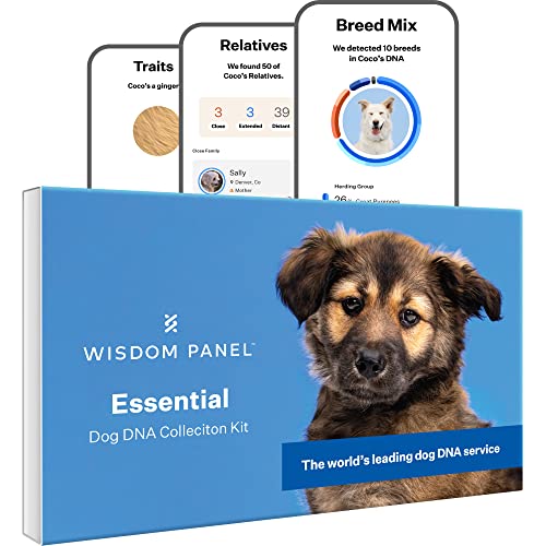 Wisdom Panel Essential: Most Accurate Dog DNA Test Kit for Breed ID and Ancestry | 25+ Genetic...