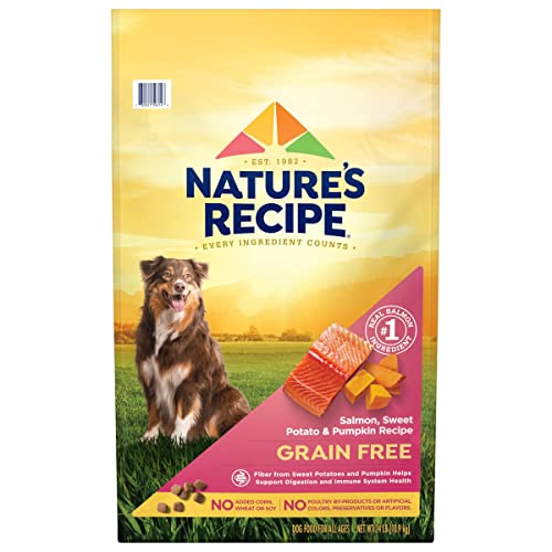 Nature's Recipe Grain Free Dry Dog Food, Salmon, Sweet Potato & Pumpkin Recipe, 24 Pound Bag, Easy...