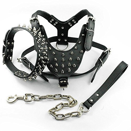 Didog Black Leather Spiked Studded Medium & Large Dog Collars, Harnesses & Leashes 3Pcs Matching Set...