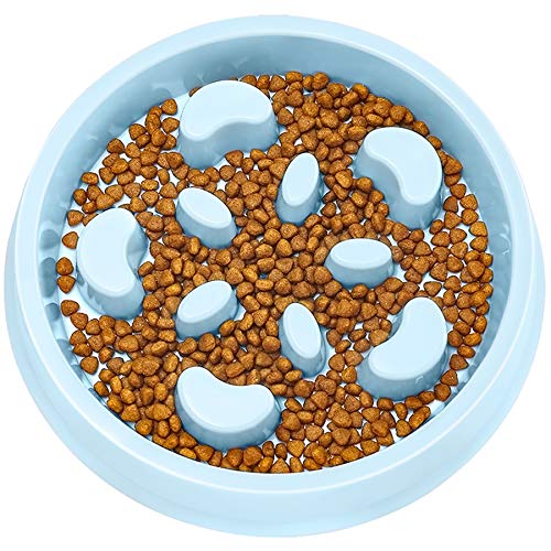 HAPPYX Slow Feed Bowl Anti-Choke Non-Skid Fun Feeder for Dogs Cats 