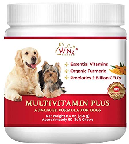 WetNozeHealth Vitamins for Dogs - Canine Multivitamin Supplement with Organic Turmeric and...