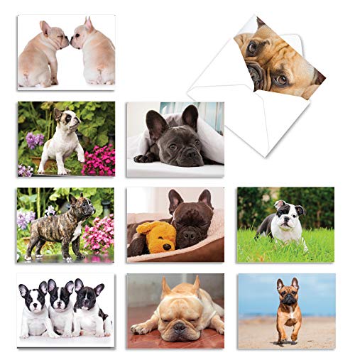 The Best Card Company - 10 Adorable Blank Dog Cards (4 x 5.12 Inch) - Assorted Pet Breeds, Boxed Set...