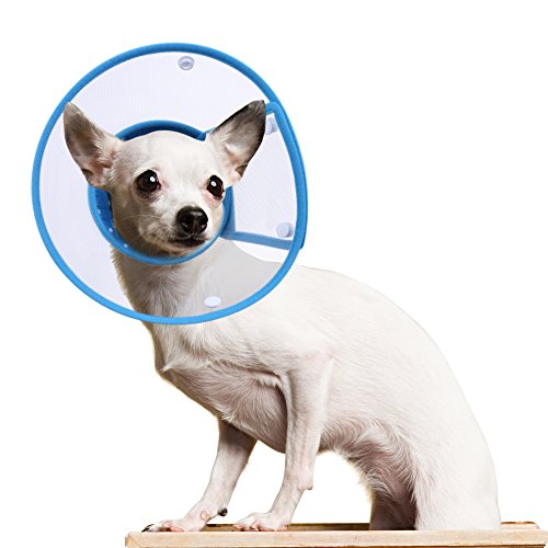 PETBABA Dog Cone Collar in Recovery, Clear Elizabethan Not Block Vision, Soft Padded E-Collar...