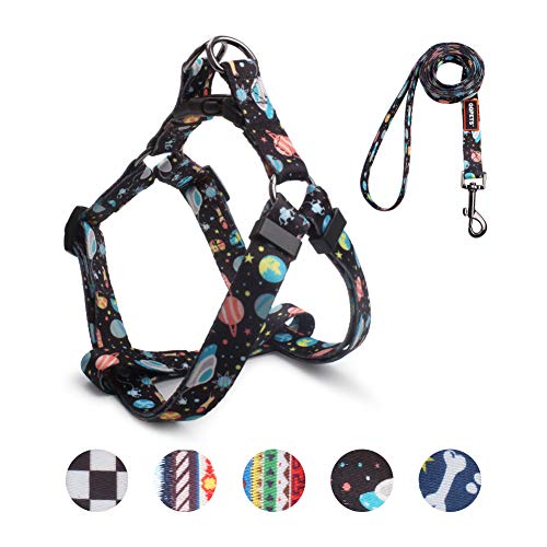 QQPETS Dog Harness Leash Set Adjustable Heavy Duty No Pull Halter Harnesses for Small Medium Large...