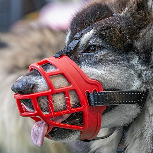 Dog Muzzle,Soft Basket Silicone Muzzles for Dog, Best to Prevent Biting, Chewing and Barking, Allows...