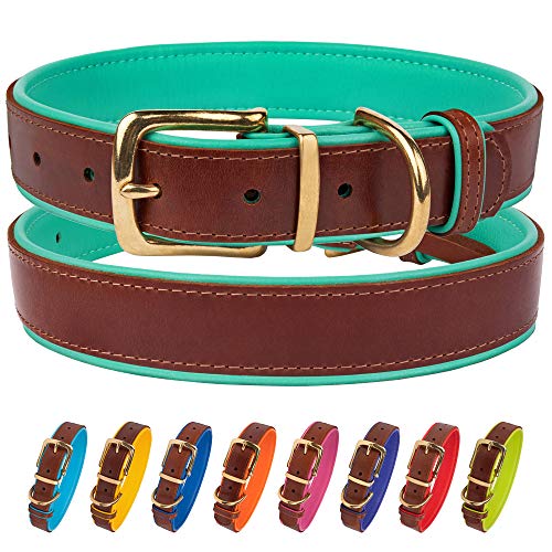 CollarDirect Leather Dog Collar Brass Buckle Soft Padded Puppy Small Medium Large Red Pink Blue...