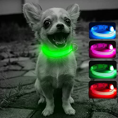 DOMIGLOW Puppy LED Dog Collars - USB Rechargeable Light Up Dog Collar Adjustable Reflective Pet...