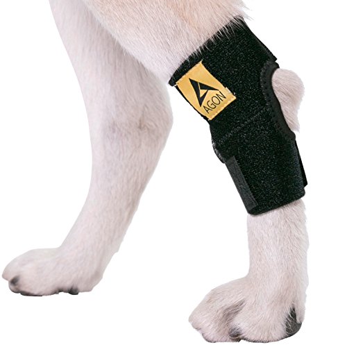 AGON® Dog Canine Rear Hock Joint Brace Compression Wrap with Straps Dog for Back Leg Protects...