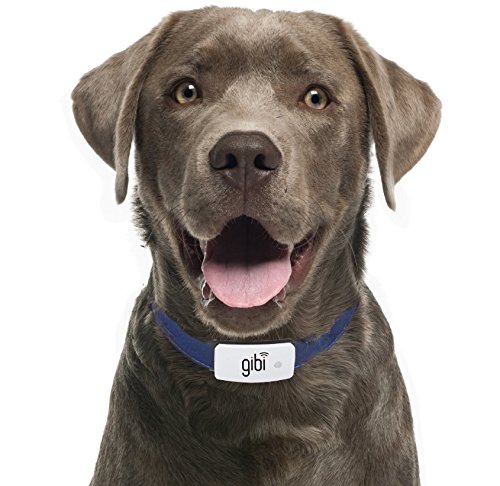 Gibi Pet GPS Trackers Keep Track of Pets 24/7. Shows Pet Locations on Google Maps to Make Finding...