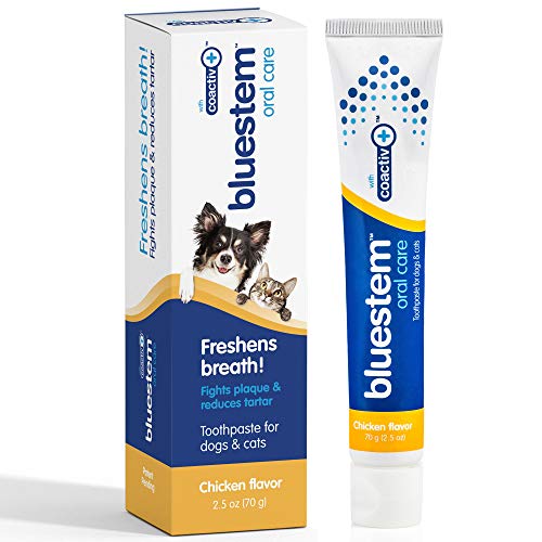 Dog Toothpaste : Chicken Flavor Tooth Paste for Dogs & Cats. Teeth Brushing Cleaner Pet Breath...