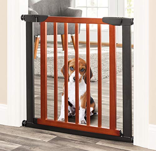Palmer Dog Gate - Indoor Pet Barrier, Expandable to 40', Walk Through Swinging Door, Extra Wide,...