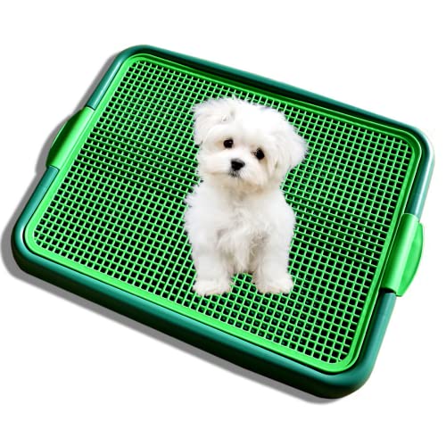 Klean Paws Dog Toilet & Potty Pad Holder - No Torn Potty Pads - Keep Paws Dry - Protect Floors –...