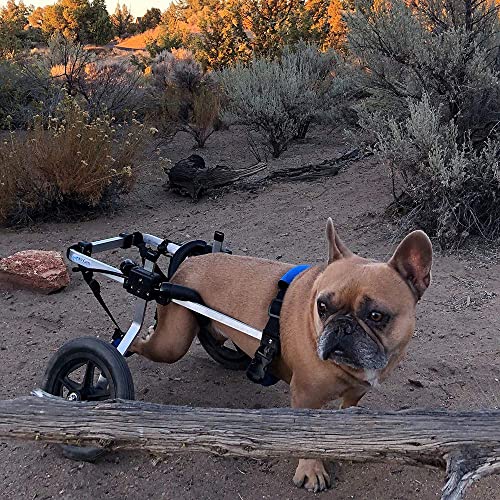 K9 Carts Dog Wheelchair for Back Legs (Small-Medium) - Made in The USA
