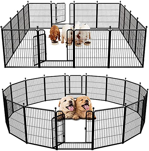 FXW Rollick Dog Playpen Designed for Camping, Yard, 32' Height for Small/Medium Dogs, 16 Panels