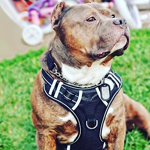 Big Dog Harness No Pull Adjustable Pet Reflective Oxford Soft Vest for Large Dogs Easy Control...