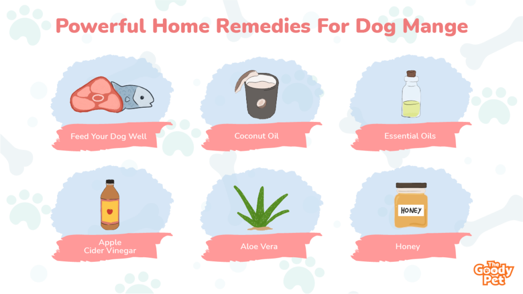18 Powerful Home Remedies For Dog Mange! The Goody Pet