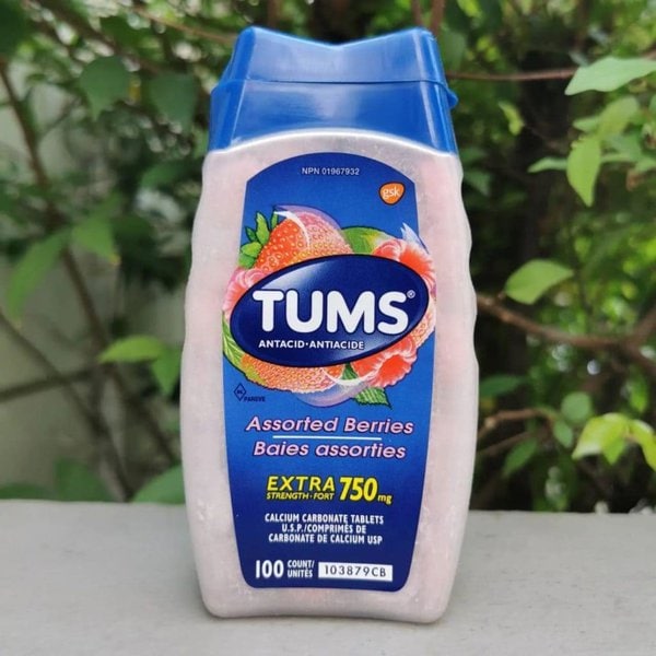 Can Dogs Take Tums? Is It A Good Idea? The Goody Pet