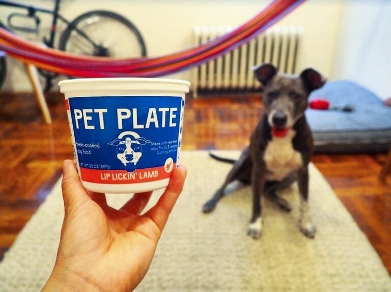 11 Best Chicken Free Dog Food (January 2024 Reviews) The Goody Pet